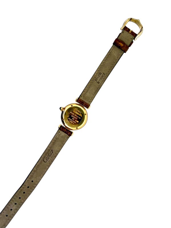 Photoroom_20260127_21619 PM